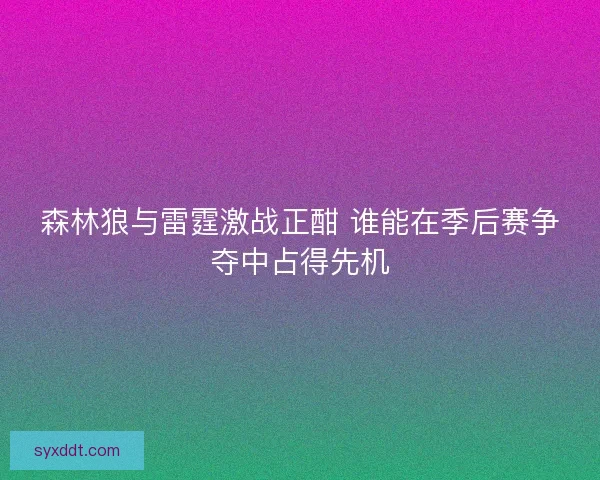 森林狼与雷霆激战正酣 谁能在季后赛争夺中占得先机